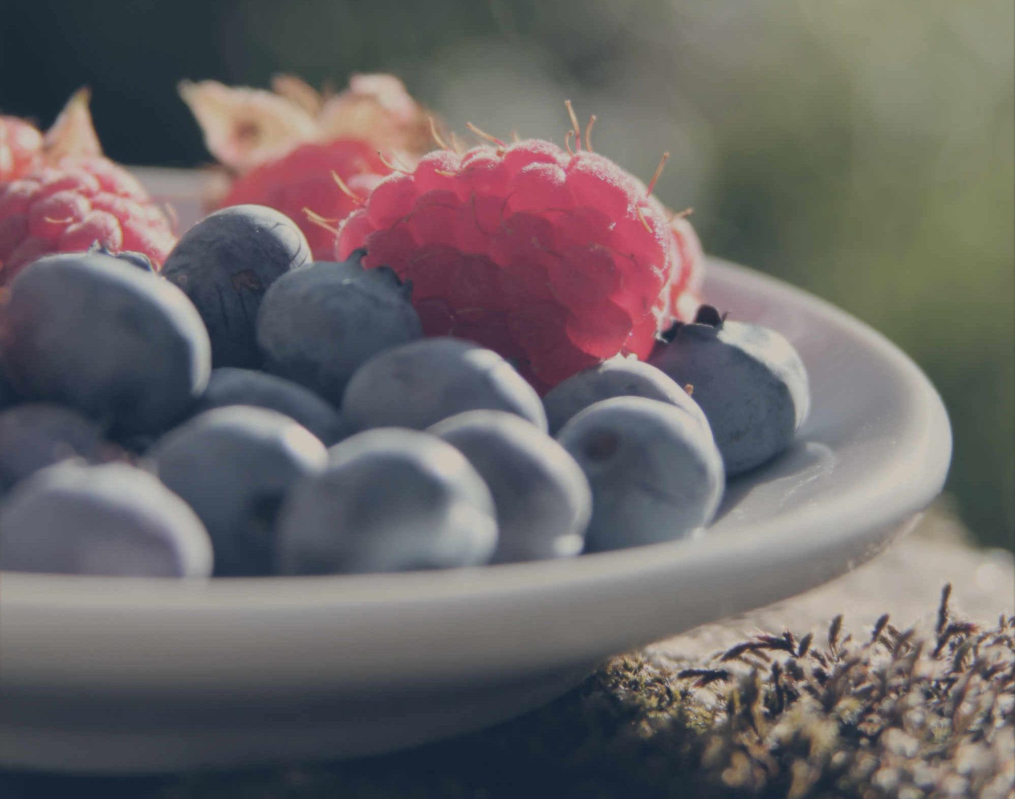 Schaal met vers fruit